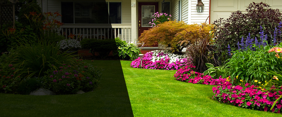 Middleport Landscapers