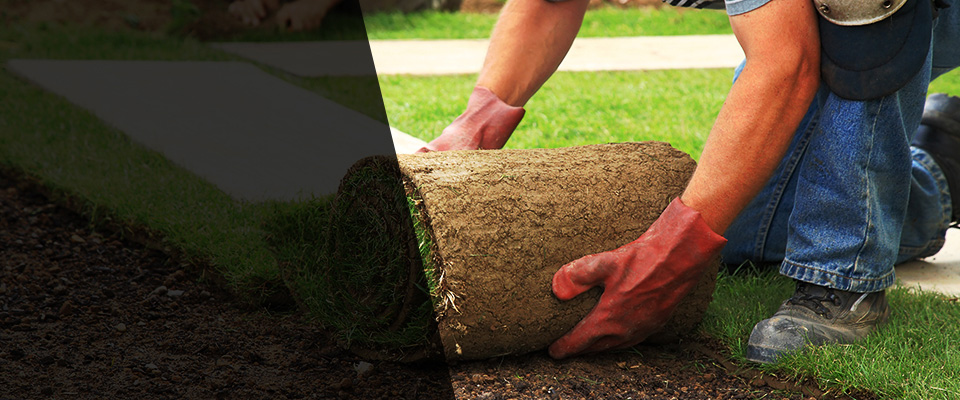 Middleport Landscapers